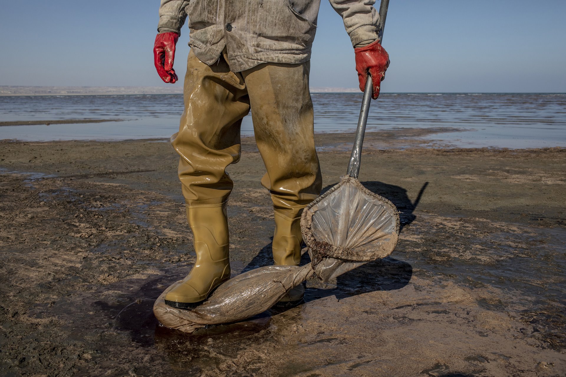 A shrimp farmer squeezes excess water out of a bag filled with minute <em>Artemia salina</em> brine shrimps, beside the Aral Sea, in Uzbekistan. Farming this ancient species of shrimp, which breed in highly saline water, is a growing industry along the shores of the Aral Sea. As its waters have receded, they have become increasingly saline.&nbsp;